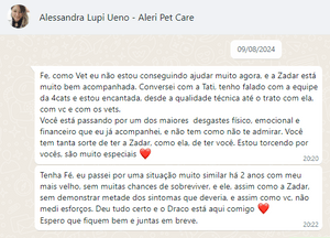 Doença renal da Zadar c/ 3 cirurgias imagem 6