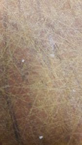 Vaquinha Online - Nnnnnn nnnnnnnnnnnnnn