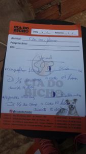 Saúde e Emergências - Me ajude chama no zap 1197021-2603 assim consigo expor melhor oq ouve e mandar fotos vídeos ligações oque for so quero salvar minha veinh