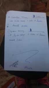 Ajude salvar a flor minha BB de 4 patas  - Me ajude chama no zap 1197021-2603 assim consigo expor melhor oq ouve e mandar fotos vídeos ligações oque for so quero salvar minha veinh