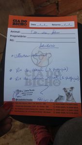 Vaquinha Online - Me ajude chama no zap 1197021-2603 assim consigo expor melhor oq ouve e mandar fotos vídeos ligações oque for so quero salvar minha veinh