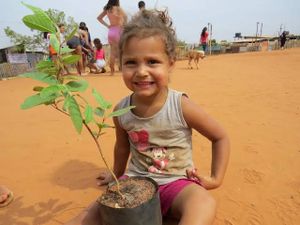 Meio ambiente - Um Pomar Urbano para o Assentamento Aliança em Bauru