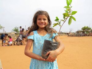 Financiamento Coletivo - Um Pomar Urbano para o Assentamento Aliança em Bauru