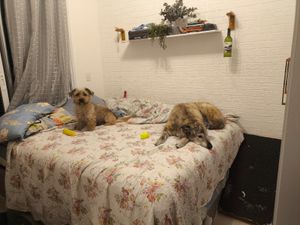 São Paulo/SP - Céu quer nadar em uma cachoeira novamente!!!