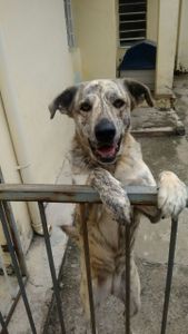 Céu quer nadar em uma cachoeira novamente!!!