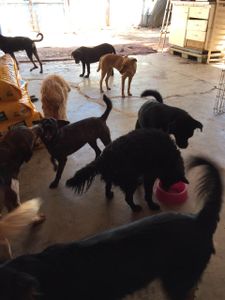 AJUDE O LAR DA REGINA imagem 8