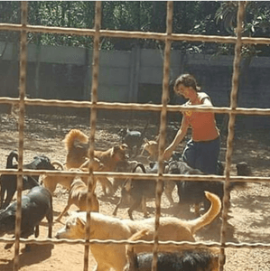 ONGs - AJUDE O LAR DA REGINA