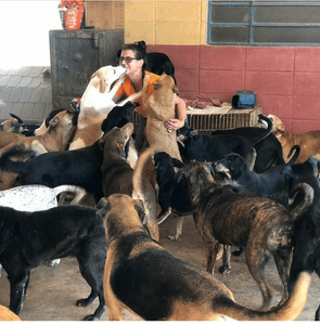 ONG LAR DA REGINA - AJUDE O LAR DA REGINA