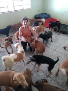 AJUDE O LAR DA REGINA imagem 10