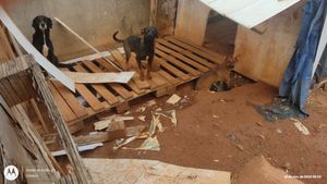 Lucas do Rio Verde/MT - Construção de abrigo 