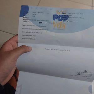 Bruna Neves - ME AJUDE A SALVAR O ARTESÃO!