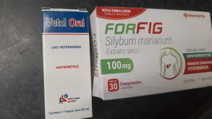 Vaquinha Online - AJUDA PARA MEDICAÇÃO E INTERNAÇÃO DA GATINHA LINDA