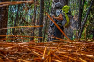 Vaquinha Online - Para construir mais! Para ver e mostrar mais !