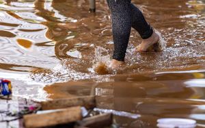 Dia de Doar - Resiliência Gaúcha 