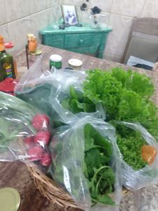 HORTA SEMI-COMUNITÁRIA  imagem 6