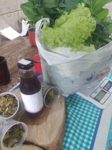 HORTA SEMI-COMUNITÁRIA  - HORTA SEMI-COMUNITÁRIA 