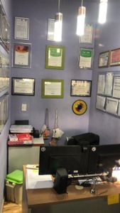 Rio de Janeiro/RJ - Aluguel do Sonho: Salve o Arte Transformadora