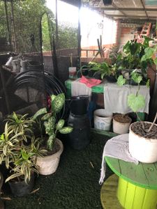 Aluguel do Sonho: Salve o Arte Transformadora imagem 10