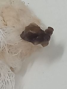 Vaquinha Online - Ajude o pontinho