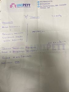 Animais - Ajude o pontinho