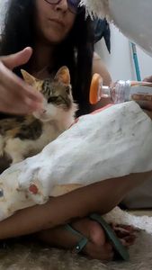 Santa Rosa/RS - Vamos Salvar uma vida!