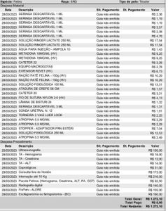 Gatinha Meg - Vamos Salvar uma vida!