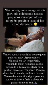 Animais - Vamos Salvar uma vida!