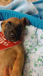 São Paulo/SP - Transforme Vidas: Ajude-nos na conquista do nosso espaço!