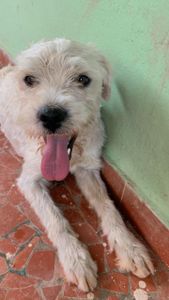 Transforme Vidas: Ajude-nos na conquista do nosso espaço!