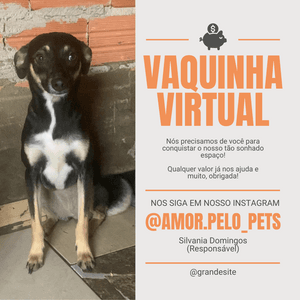 Transforme Vidas: Ajude-nos na conquista do nosso espaço! imagem 7