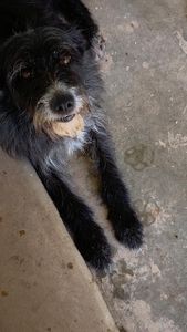 Transforme Vidas: Ajude-nos na conquista do nosso espaço! imagem 6