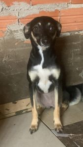 Vaquinha Online - Transforme Vidas: Ajude-nos na conquista do nosso espaço!