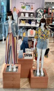 Empreendedorismo e Pequenos Negócios - Montando minha loja 