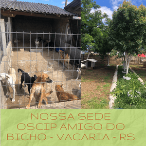 Amigo do Bicho - Seja Amigo do Bicho e ajude nossos animais