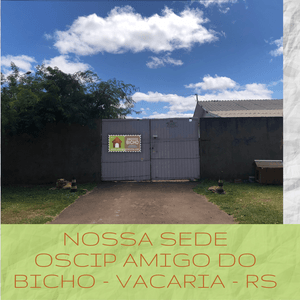Vaquinha Online - Seja Amigo do Bicho e ajude nossos animais