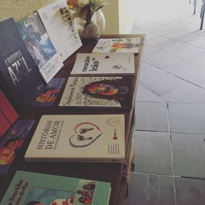 ONGs - LOCAÇÃO DE SEDE FÍSICA PARA ACOLHIMENTO AOS PAIS ENLUTADOS EM POA