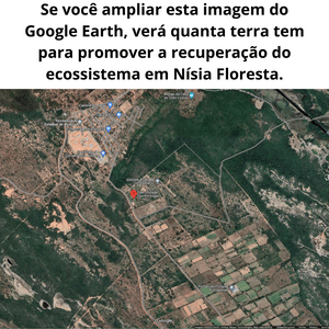 Causas e Comunidade - Nos ajude a salvar ecossistemas no Brasil