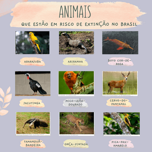 Nos ajude a salvar ecossistemas no Brasil imagem 8