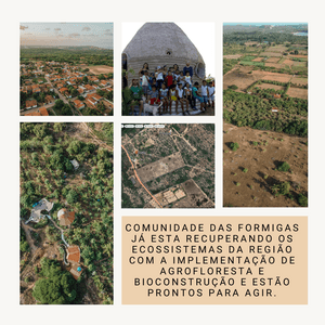 Cuidando Sem Fronteiras - Nos ajude a salvar ecossistemas no Brasil