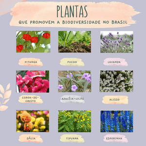 Nos ajude a salvar ecossistemas no Brasil imagem 6