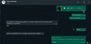 Ajude meu gatinho Koda  imagem 6