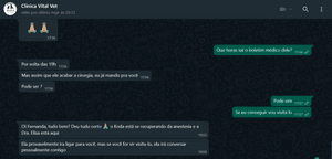 Ajude meu gatinho Koda  imagem 7