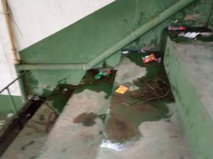 Salvador/BA - Reformando Esperanças