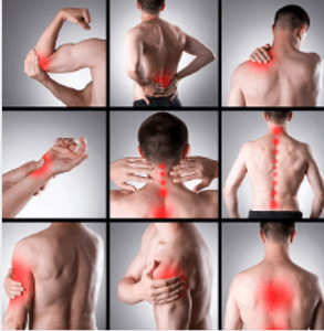 Empreendedorismo e Pequenos Negócios - VIVENDO SEM DORES