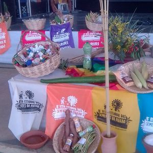 Projeto Ver, Crer & Ser imagem 7