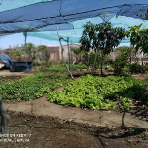 Projeto Ver, Crer & Ser - Projeto Ver, Crer & Ser