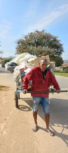 Ajudar a minha família  imagem 7