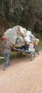 Financiamento Coletivo - Ajudar a minha família 