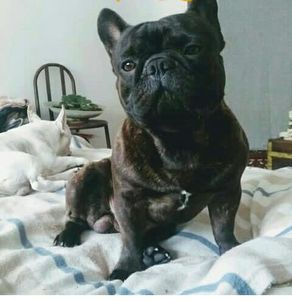 Vaquinha Online - #você é importante!