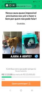 Financiamento Coletivo - Projeto CEL | O bem para quem não pode falar